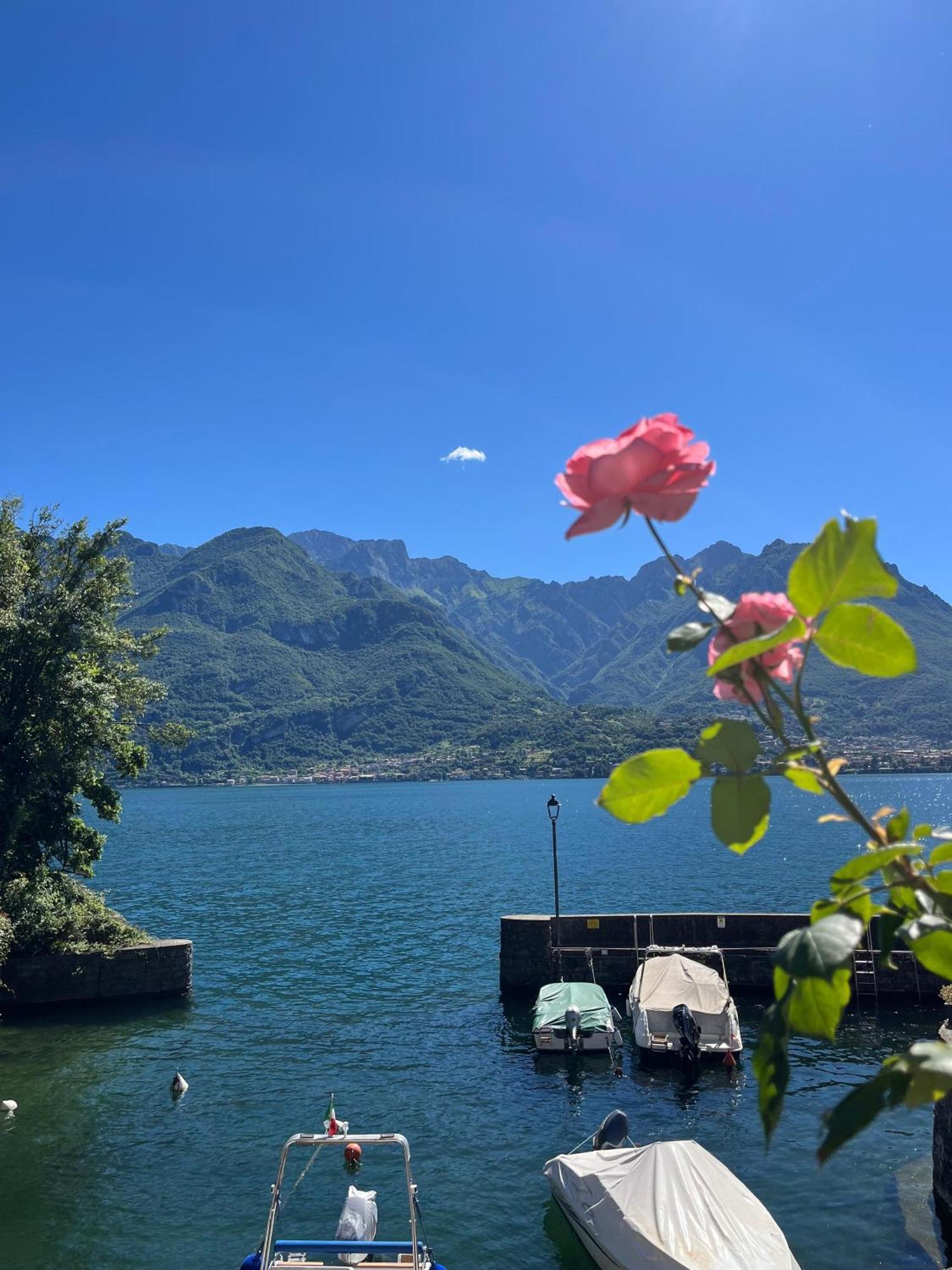 Domus Graziana - Lake Front Oliveto Lario Eksteriør bilde